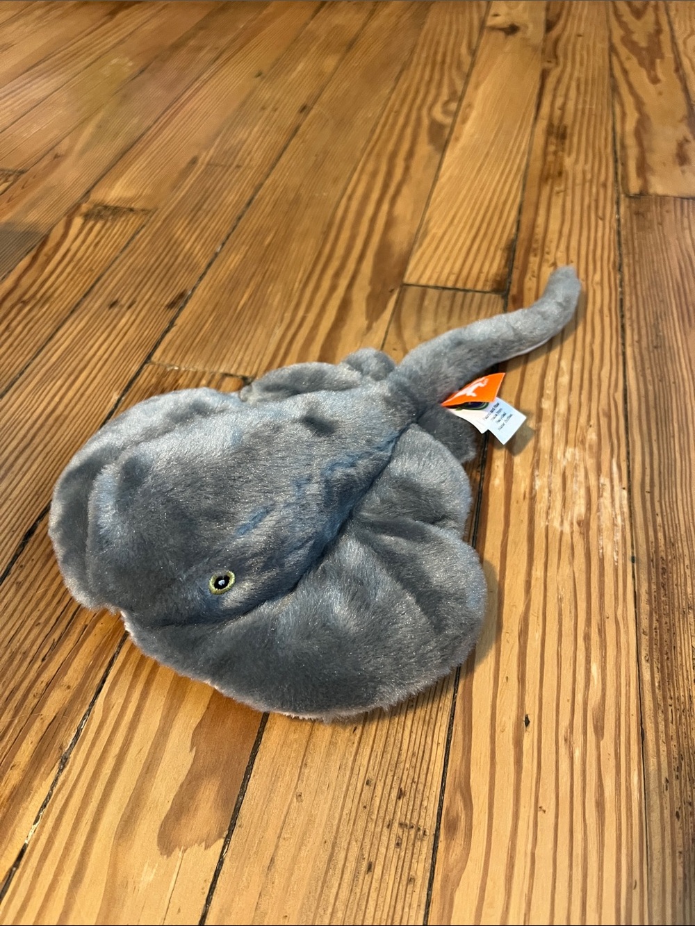 Gray Plush Stingray
